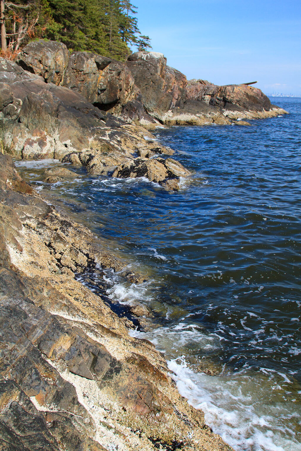 The rugged coastline of Cape Roger Curtis, deep swells pushing against barnacled rocks.
